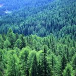 Нью-Йорк: музеи и галереи